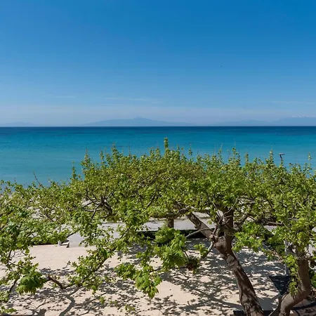 Alkioni By The Sea Apartamento