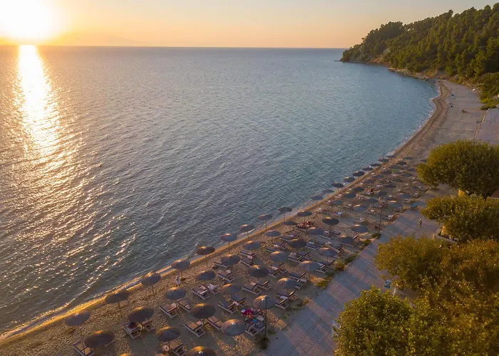 Daire Alkioni By The Sea